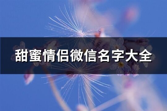 甜蜜情侣微信名字大全