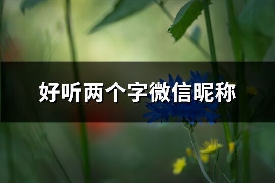 好听两个字微信昵称(共1425个)