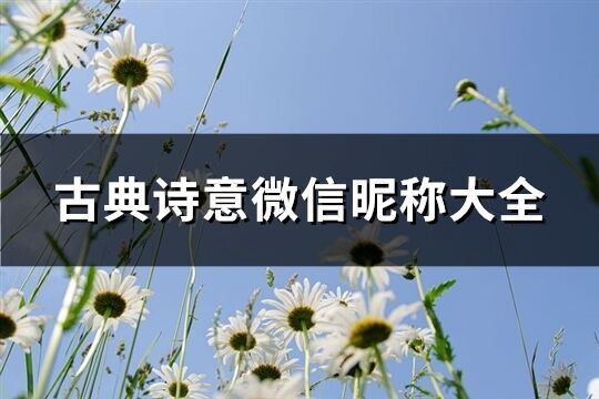 古典诗意微信昵称大全(127个)