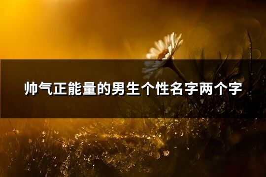 帅气正能量的男生个性名字两个字(共338个)