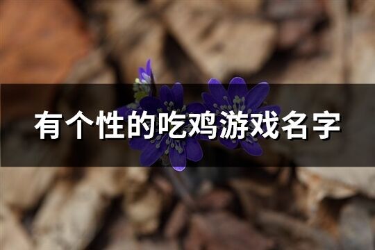 有个性的吃鸡游戏名字(339个)