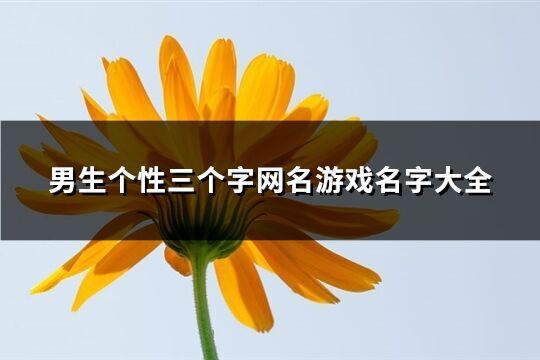 男生个性三个字网名游戏名字大全(优选370个)