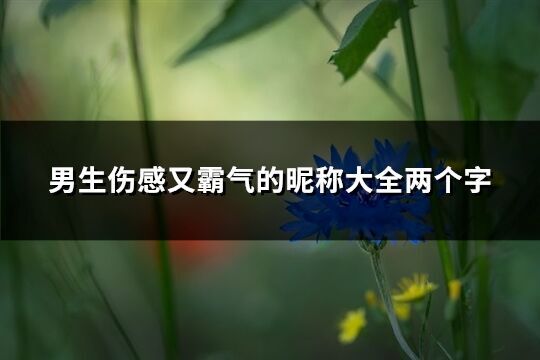 男生伤感又霸气的昵称大全两个字(368个)