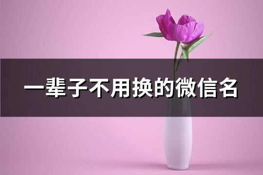 一辈子不用换的微信名(优选535个)