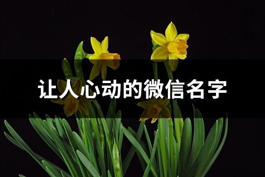 让人心动的微信名字(优选314个)