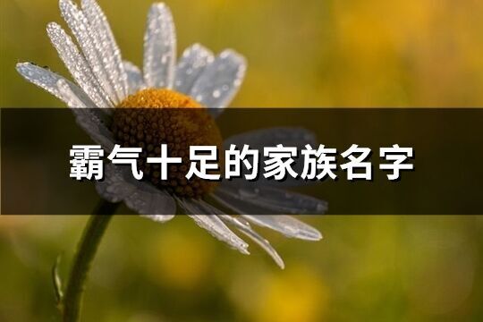 霸气十足的家族名字(优选242个)