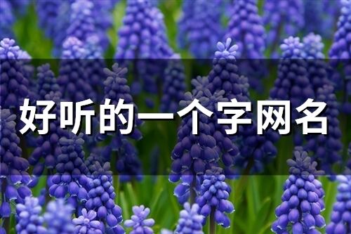 好听的一个字网名(74个)
