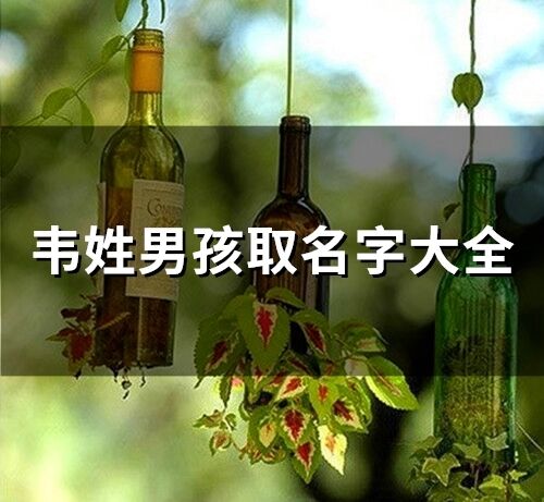 韦姓男孩取名字大全(精选97个)