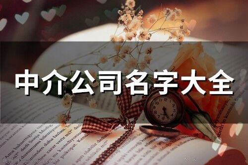 中介公司名字大全(104个)