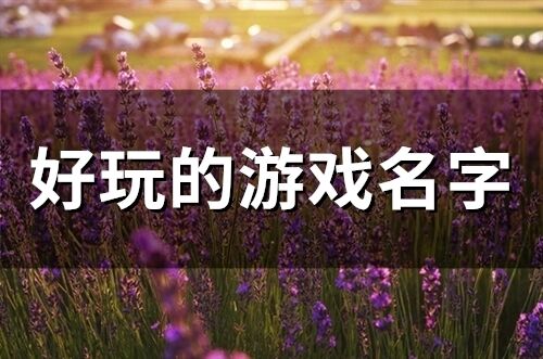 好玩的游戏名字(精选258个) 好玩的游戏名字(精选258个)