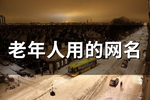 老年人用的网名(精选272个)