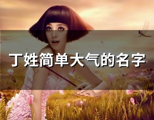 丁姓简单大气的名字(33个)