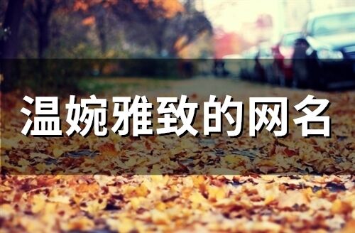 温婉雅致的网名(278个)