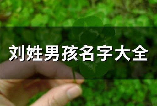 刘姓男孩名字大全(精选363个) 刘姓男孩名字大全(精选363个)