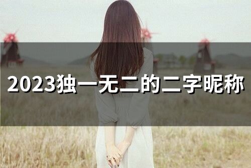 2023独一无二的二字昵称(精选403个)