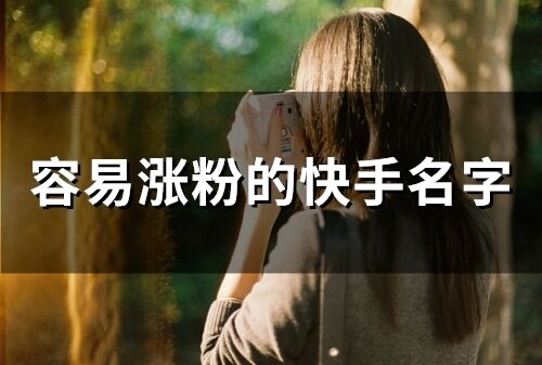 容易涨粉的快手名字 吸引粉丝的网名