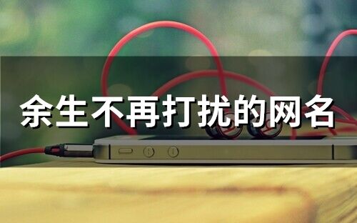 余生不再打扰的网名