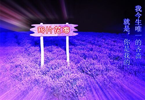 最爱的年华qq网名(精选132个)
