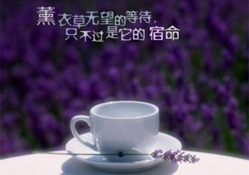 三个字王小好听的网名(精选158个)