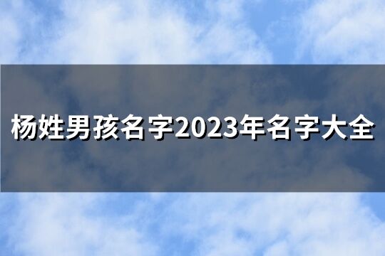 杨姓男孩名字2023年名字大全(精选260个)