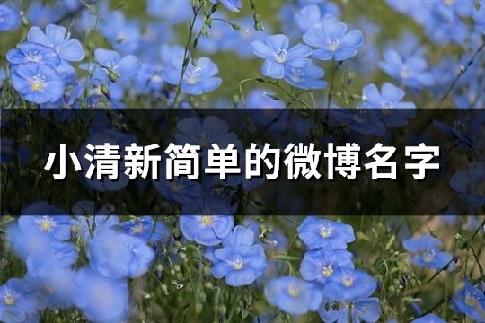 小清新简单的微博名字(共177个)