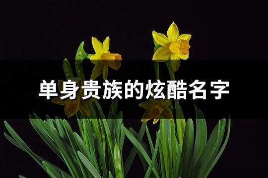 单身贵族的炫酷名字(精选158个)