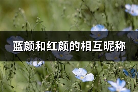 蓝颜和红颜的相互昵称(共71个)