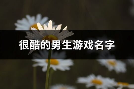 很酷的男生游戏名字(462个)