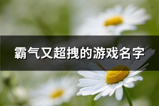 霸气又超拽的游戏名字(优选539个) 霸气又超拽的游戏名字(优选539个)