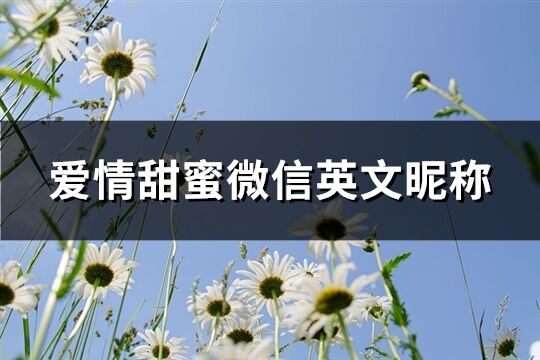 爱情甜蜜微信英文昵称(精选158个)