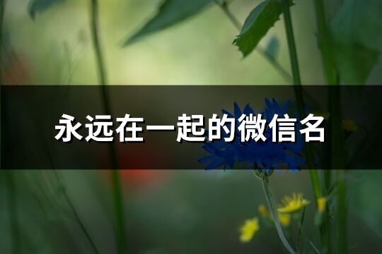 永远在一起的微信名(86个)