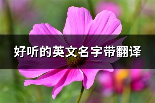 好听的英文名字带翻译(优选200个)