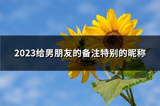 2023给男朋友的备注特别的昵称(精选125个)