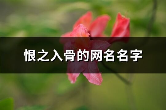 恨之入骨的网名名字(优选65个)