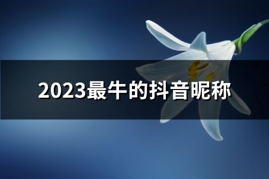 2023最牛的抖音昵称(355个)