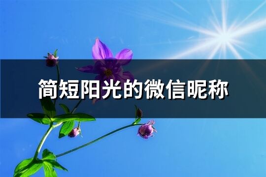 简短阳光的微信昵称(精选653个)