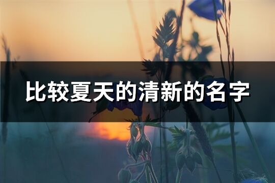 比较夏天的清新的名字(161个)