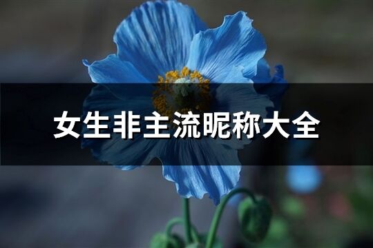 女生非主流昵称大全(优选81个)