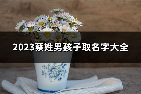 2023蔡姓男孩子取名字大全(优选73个)