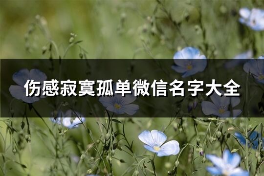 伤感寂寞孤单微信名字大全(优选281个)