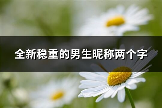 全新稳重的男生昵称两个字(共454个)