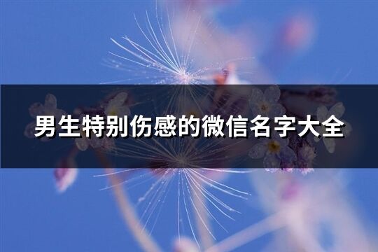 男生特别伤感的微信名字大全(616个)