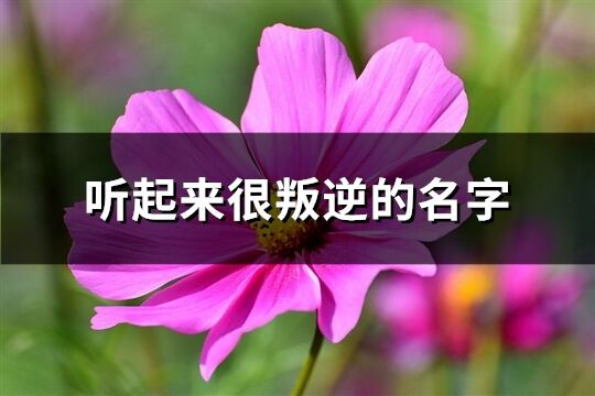 听起来很叛逆的名字(230个)