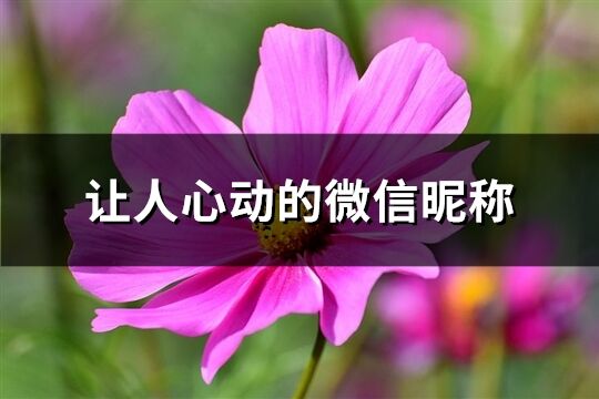 让人心动的微信昵称(共293个)