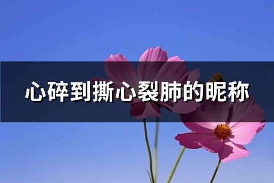 心碎到撕心裂肺的昵称(优选249个)