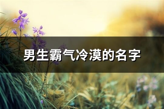 男生霸气冷漠的名字(553个) 男生霸气冷漠的名字(553个)