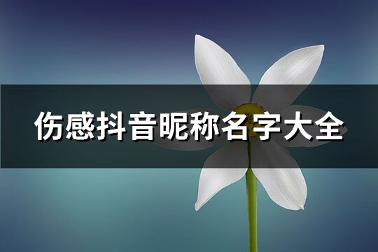 伤感抖音昵称名字大全(466个)