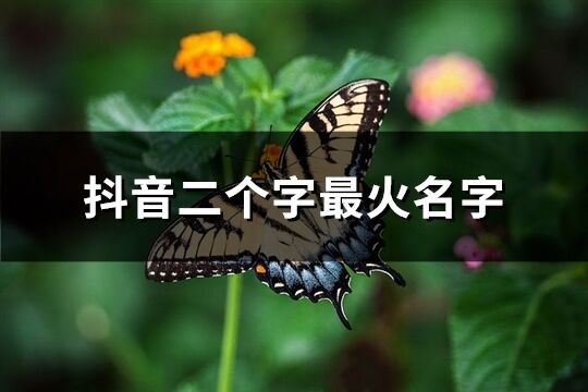 抖音二个字最火名字(精选1187个)