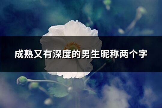 成熟又有深度的男生昵称两个字(共592个)