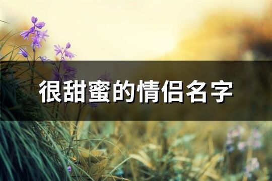 很甜蜜的情侣名字(共276个)